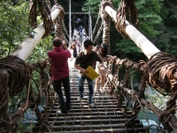 かづら橋.jpg