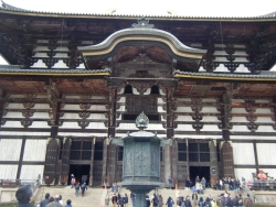 大仏殿1.jpg