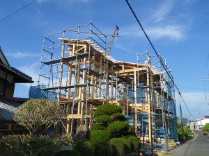 建舞7.28.jpg