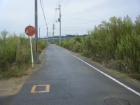 戸田2.jpg