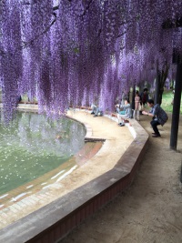 20150507172829_p40.jpg