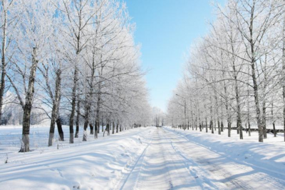 雪景色