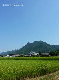 三尾山
