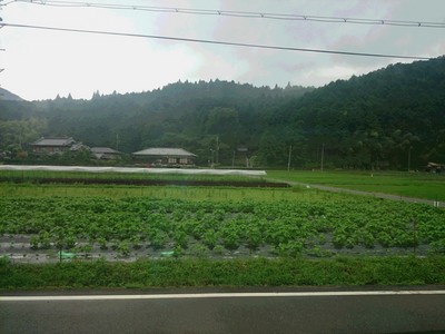 窓から見える景色