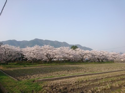 土地選び 条件