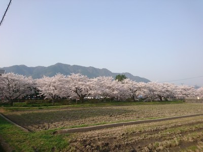 土地選び　条件