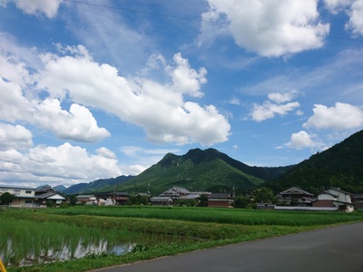 平凡な毎日が幸せ