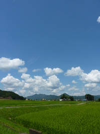 青空