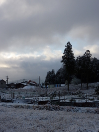 雪景色