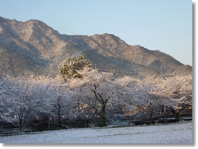 雪