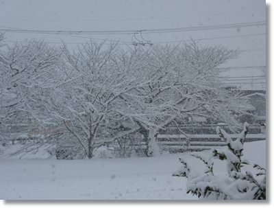 雪景色