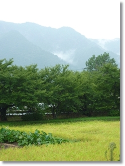 外は雨