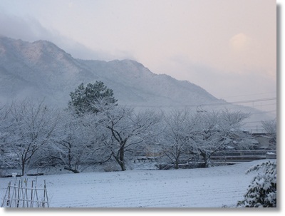 雪景色