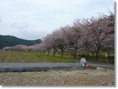 お花見ができる家