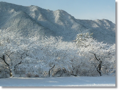 雪景色