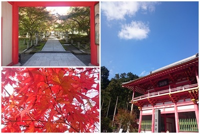 高山寺