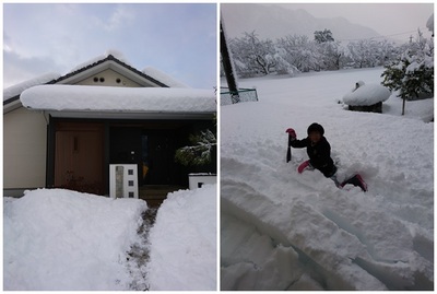 丹波市の大雪