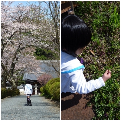 散歩道