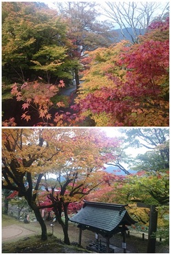 養父神社