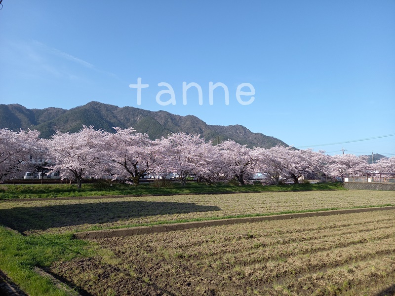 春日工務店　tanneの家　丹波市　丹波篠山市